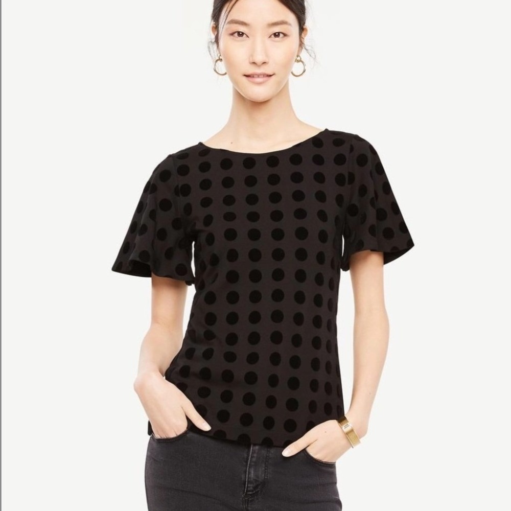 Ann Taylor Black Polka Dot Velvet Flocked Flutter Sleeve Top Large NWT 24230797